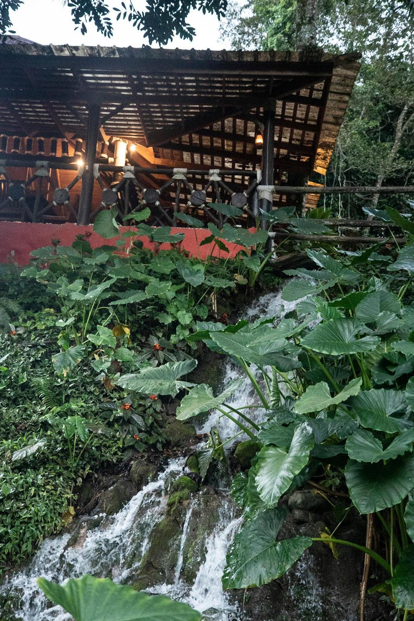 Barahona Platon Ecolodge מראה חיצוני תמונה